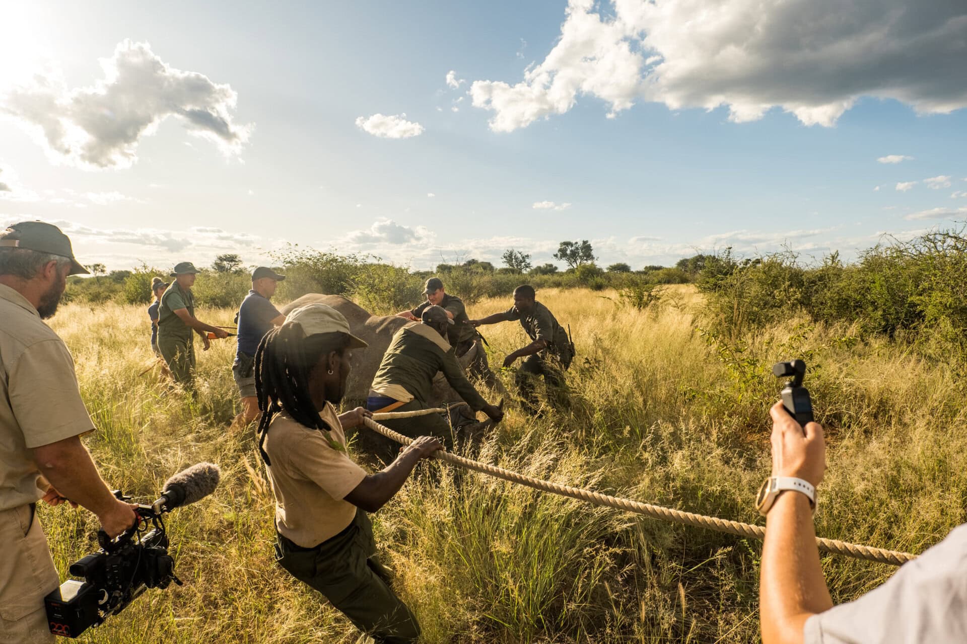 high-impact video filming and photography of Rhino translocation